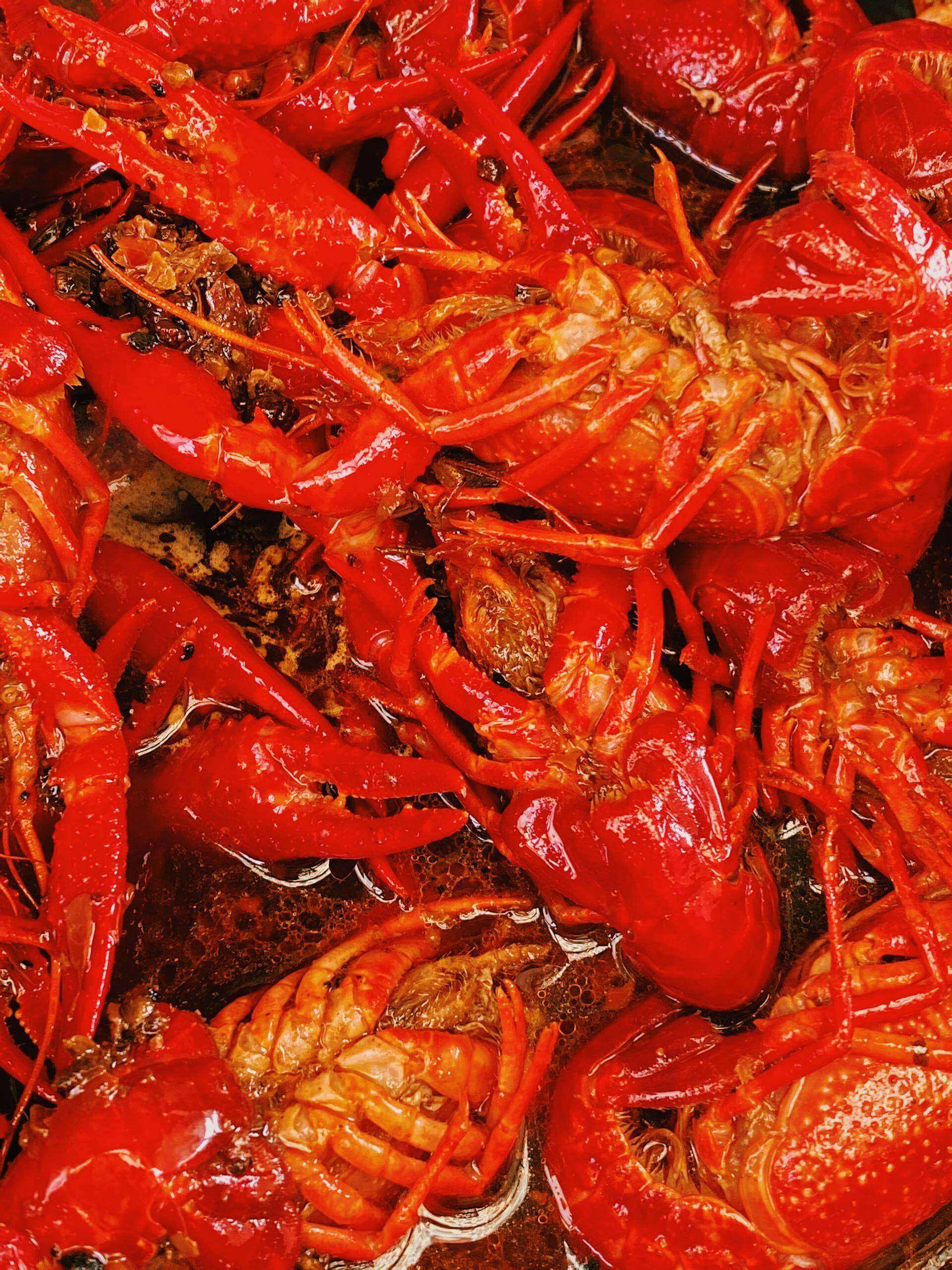 20230818105940897 食物摄影