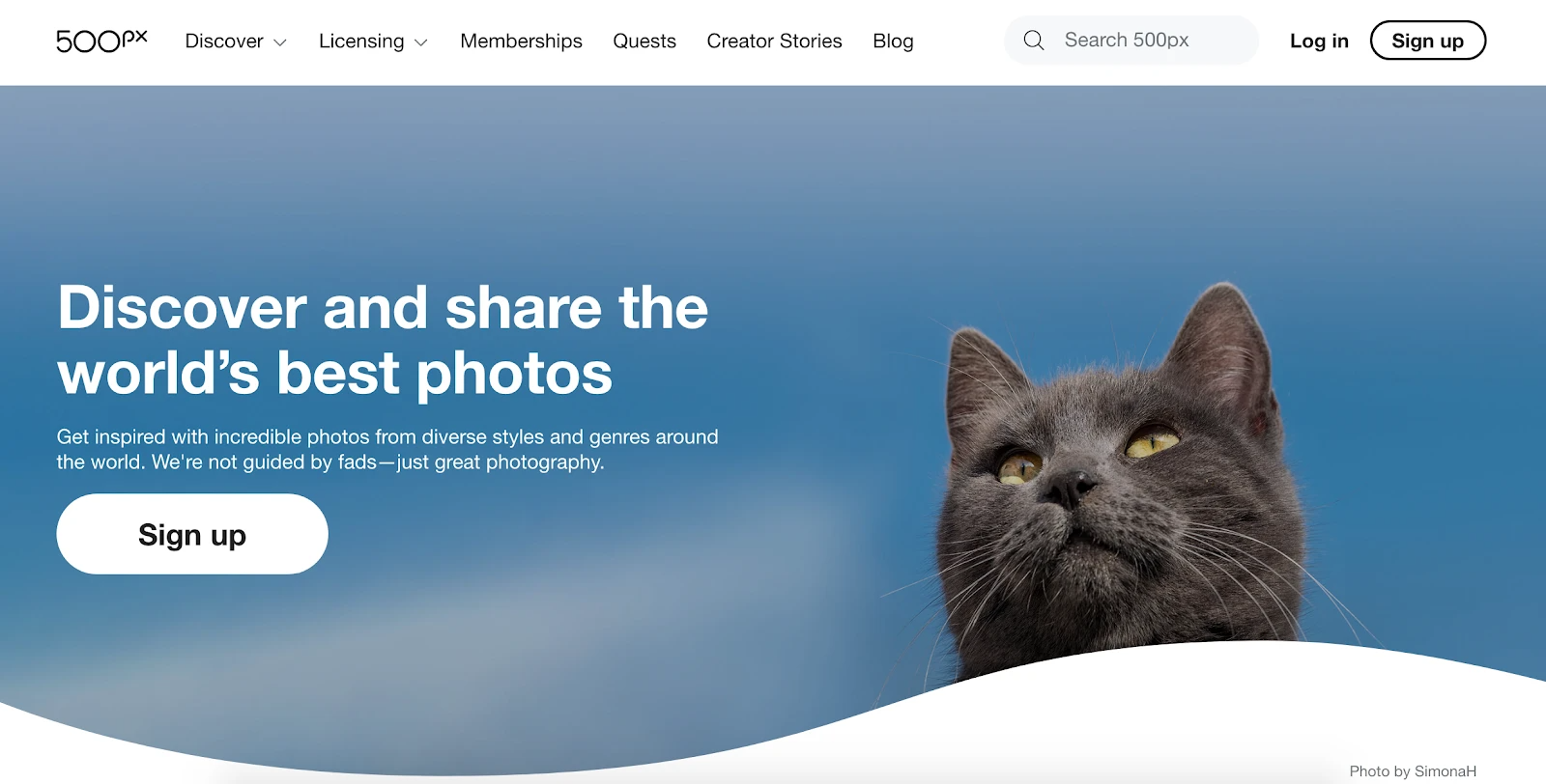 如何在线销售照片？无论是作为业余还是专业摄影师，都可以通过以下步骤实现。