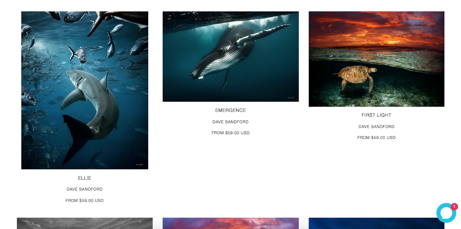 如何在线销售照片？无论是作为业余还是专业摄影师，都可以通过以下步骤实现。