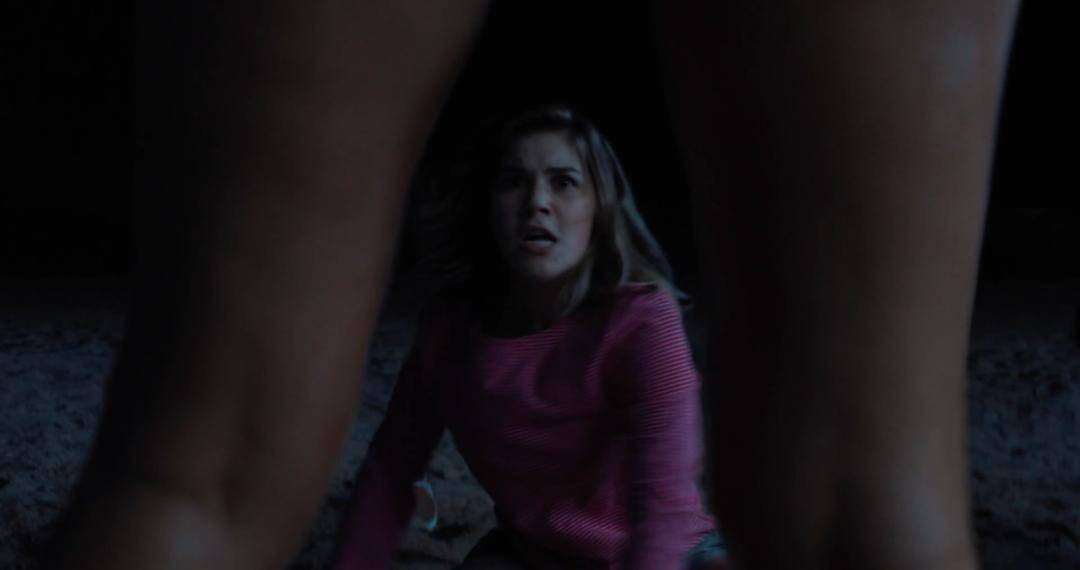 20240127064132932 不要见怪 No Hard Feelings (2023)